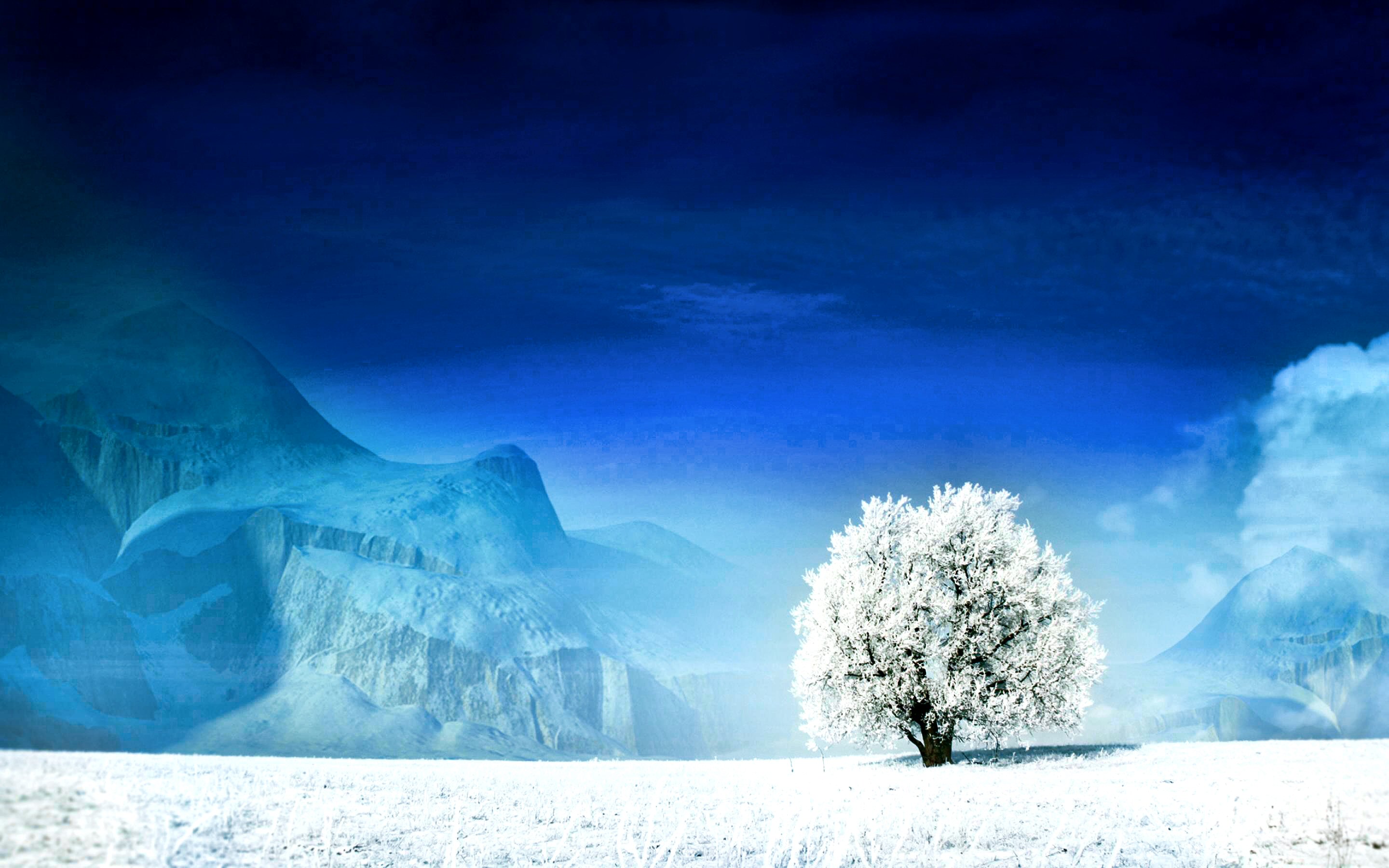 世界滑雪装备青年设计大赛：创新产品获商业关注，世界青年滑雪锦标赛